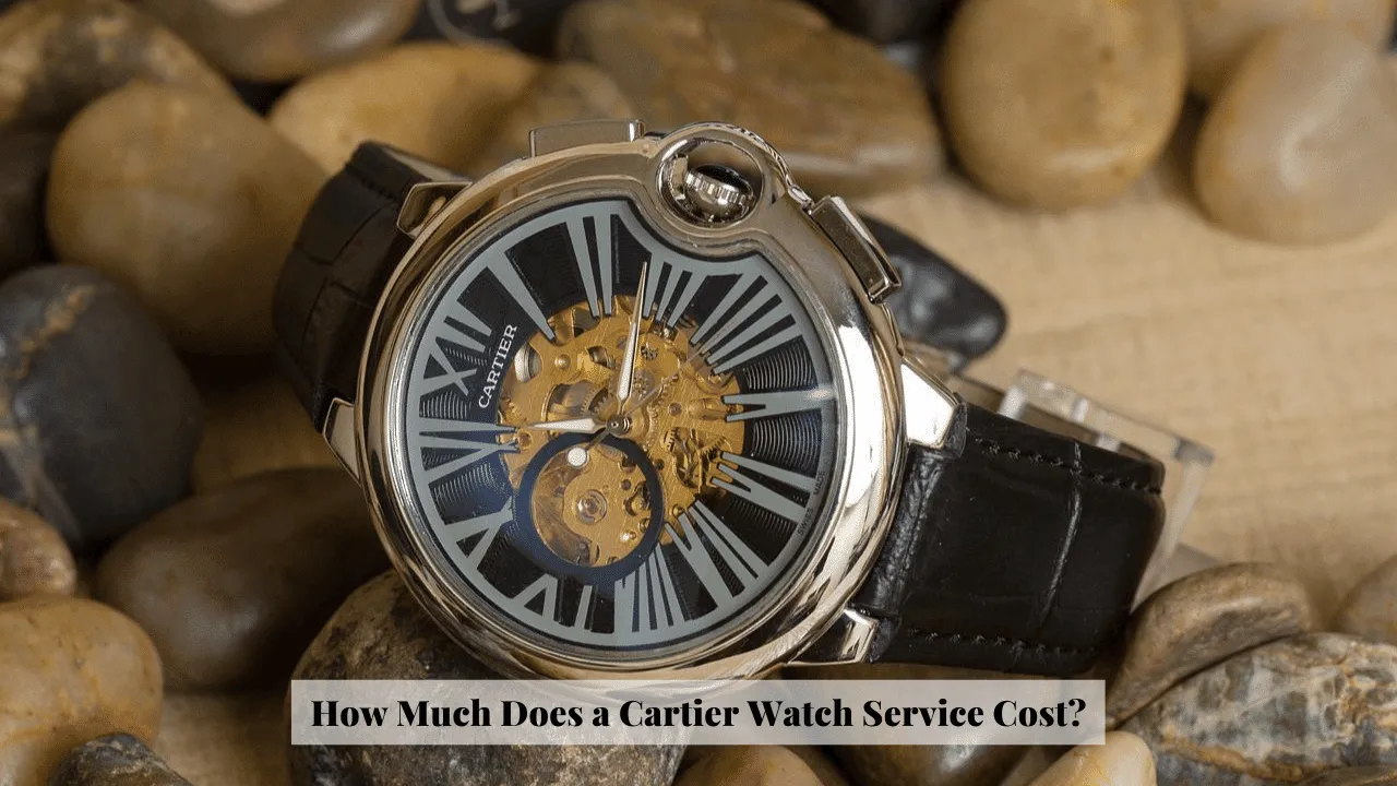How much do home watch services cost